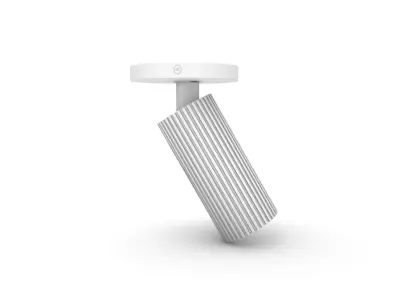 Fluted Light Fixtures - Adjustable Spot light and Wall light  3D model