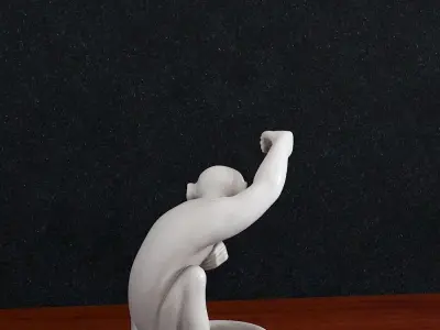 Monkey Bra2 3D print model