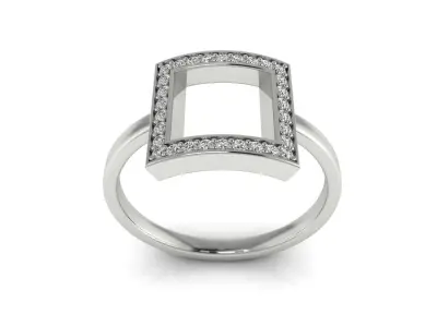 Ring 101 3D print model