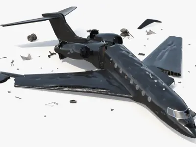  Business Jet Aircraft Wreckage Crashed Black 