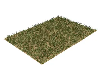 Grass 3D model