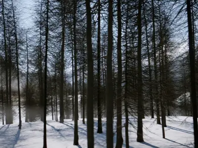 Winter Forest Sunset Scene Low-poly 3D model