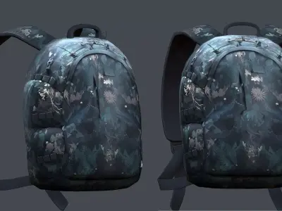 Backpack Camping Generic military human bag storqge baggage 3D model