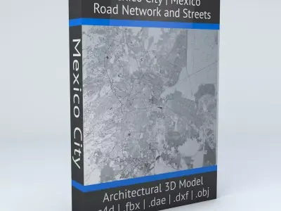 Mexico City Road Network and Streets 3D model