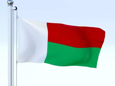 Animated Madagascar Flag Low-poly 3D model