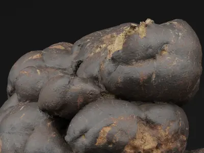 Manure 3D model