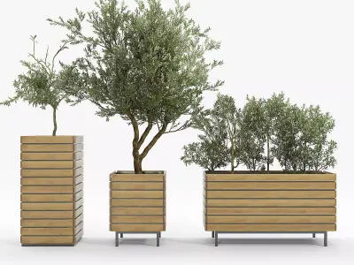 jasper rectangle planter Olea europaea 3D model