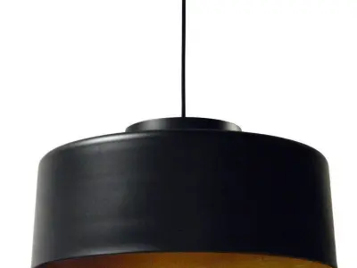 Bronwen 1 - Light Single Dome Pendant - 2 Option 3D model