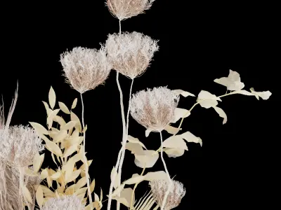 Collection plant vol 75