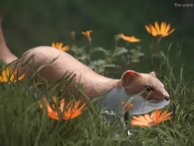  Stoat Mammal Wildlife Running Animated Fur Rigged For Blender 