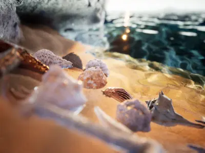 Sea Shells  24 Assets Low-poly 3D model