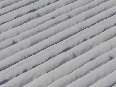 Moss Toned Driftwood Poles PBR Texture 4K Texture