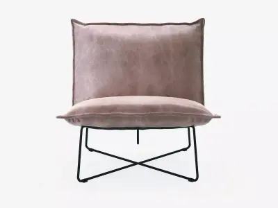 Earl leather lounge chair on metal frame 3D model