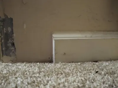 Flat Door Stopper 3D print model