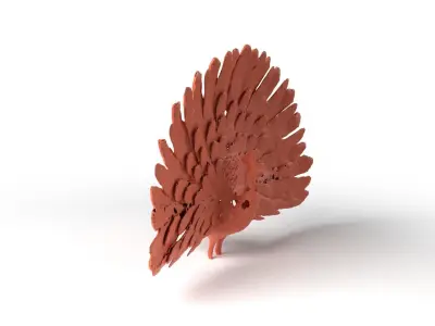 Peafowl Dust Voronoi Low-poly 3D model
