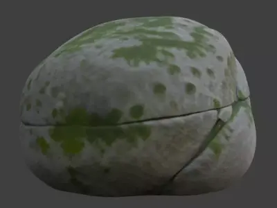 Stone Rock 3D Model 3D model
