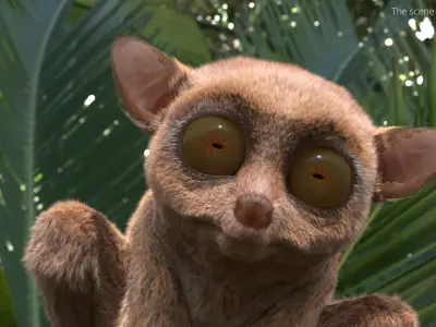  Tarsier Fur for Maya Rigged 