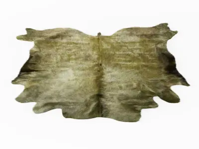 Green Cowhide Rug 3D model
