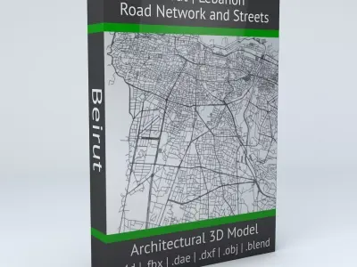 Beirut Road Network and Streets 3D model