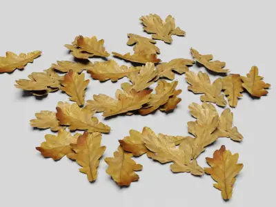 Ground Leaves Pack Low-poly 3D model