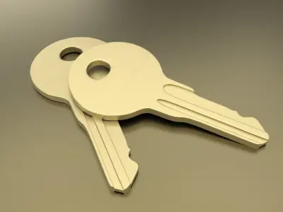 Standard Key Free 3D model