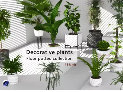 Floor potted collection Low-poly 3D model