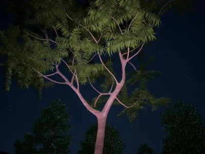 Japanese Walnut Tree Free 3D model