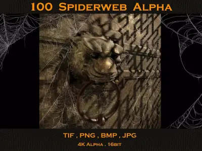 100 Spiderweb Alpha 3D model