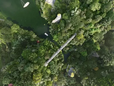 Forest Scene Low-poly 3D model