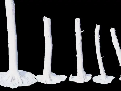 PBR Beech Tree Dead Trunk Collection Realistic Scan  Low-poly 3D model