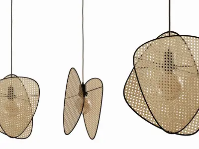 Pendant light cannage 3D model