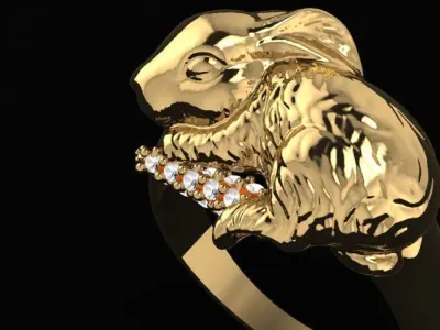 Rabbit ring 3D print model
