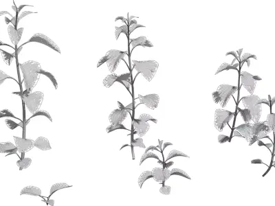 Tall Wild Herb Stem Pack  Low-poly 3D model
