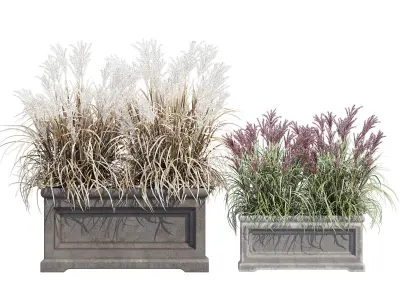 Le Notre Rectangle 3D model