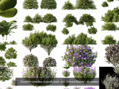 Excellent collection of plants Bush  400 Different Models 3D Model Pack