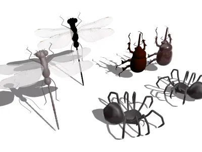 Insect Collection Dragonfly Beetle Spider 3D model
