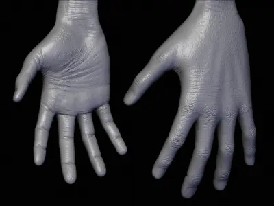 Realistic Alien 4 Sculpt 3D model