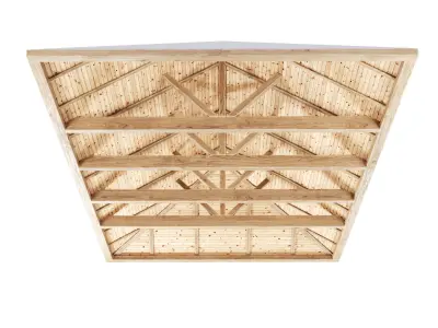 Wooden Ceiling V9  3D model
