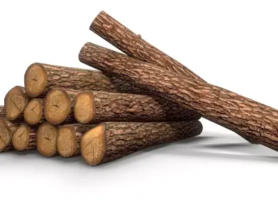 Log - Pine decks Low-poly 3D model