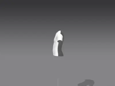 Polo shirt Free 3D model