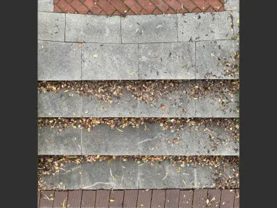 Steps with leaves in the park 3d scan 3D model