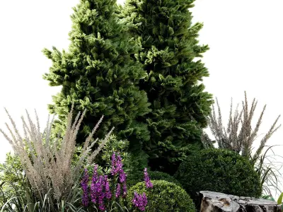 Outdoor Plant 34 3D model