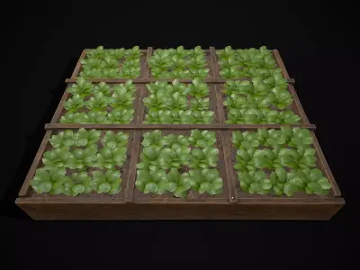 Square Planting Plot with Lettuce  Low-poly 3D model