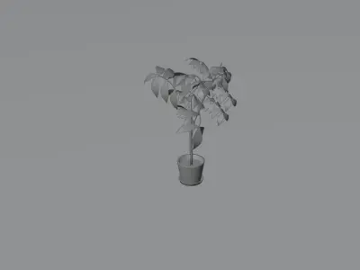 LOW poly floor plant 01 Free low-poly 3D model