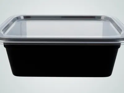 Reusable Lunch Box Container - Disposable 3D model