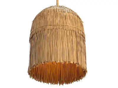 Lamp Long fringes 3D model