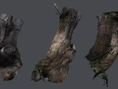 Tree trunk detail 3D model