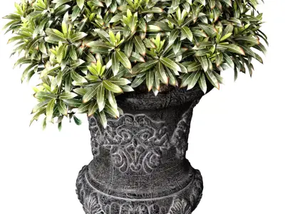 Decorative tree plant shrub classic flower vase planter vase urn 3D model