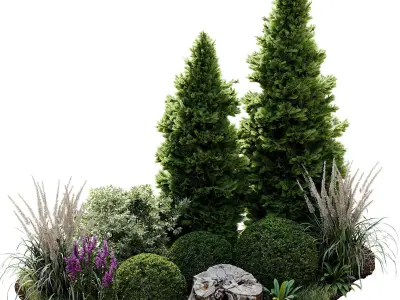 Outdoor Plant 34 3D model