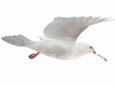  Dove (Animated) 